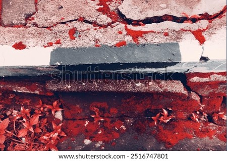 Beautiful red and white jjjajajjhhhhh