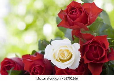 Similar Images Stock Photos Vectors Of Hand Tied Bouquet Of Fire And Ice Roses Shutterstock