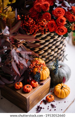 Beautiful red, yellow and orange coloured flowers standing on the table with tiny decorative oriental pumpkins, making autumn outlay, vertical photo