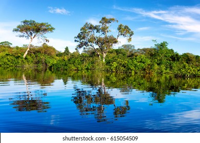 Beautiful Reflection Of The Amazon Rainforest In Brazil