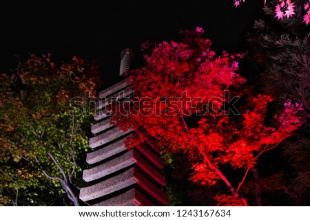 画像を等倍で表示します 画像