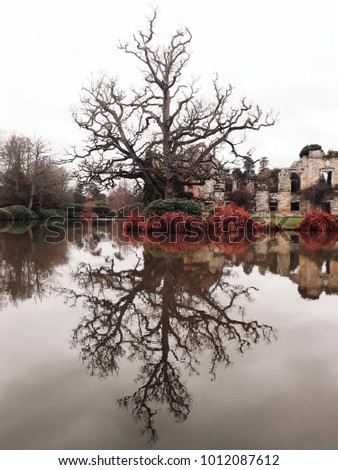 Beautiful reflection of a bare tree in winter, ruined castle, Scotney Castle, Kent.