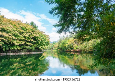 軽井沢 の画像 写真素材 ベクター画像 Shutterstock