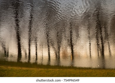 Beautiful reflection of leafless trees in reflection in water with ripples on the surface at sunset light, inverted image, horizontal/ 