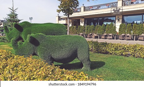 Beautiful Rhinoceros Shaped Topiary On Sunny Day. Landscape