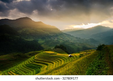 Beautiful Rice Terraces In The Evening, South East Asia