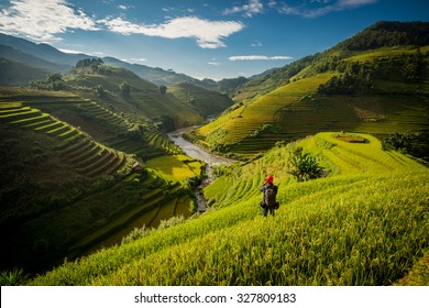 Beautiful Rice Terraces In The Evening, South East Asia