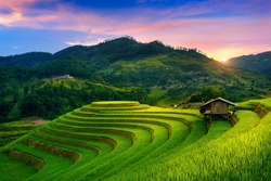 Beautiful Rice Terraces At Mam Xoi Viewpoint In Mu Cang Chai, Vietnam.