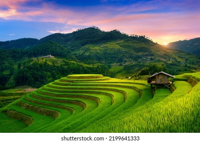 Beautiful Rice terraces at Mam xoi viewpoint in Mu cang chai, Vietnam.