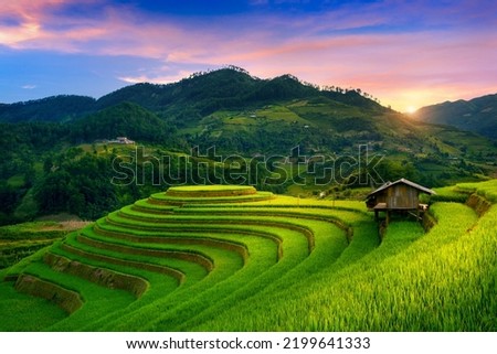 Beautiful Rice terraces at Mam xoi viewpoint in Mu cang chai, Vietnam.