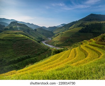 Beautiful Rice Terraces, South East Asia