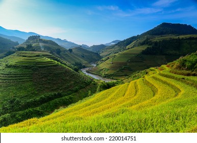 Beautiful Rice Terraces, South East Asia