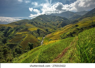 Beautiful Rice Terraces, South East Asia

