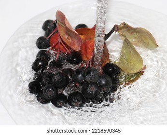 beautiful ripe berries of black-fruited mountain ash and a stream of clean water - Shutterstock ID 2218590345