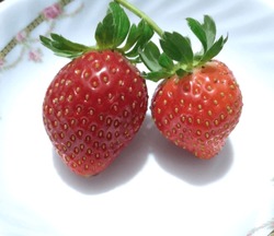 Beautiful Ripe Strawberry On White Background. The Scientific Name Of Strawberry Is Fragaria × Ananassa.