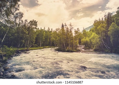 Beautiful river in forest nature. Peaceful toned nature background. Fast water stream in mountain river with coniferous forest Beautiful scenery. Wildlife of the taiga. - Shutterstock ID 1145106887