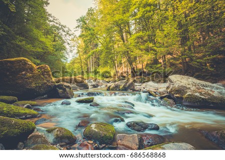 Beautiful river in forest nature. Peaceful toned nature background