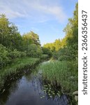 Beautiful River and Forest View in Linnanmaa, Oulu, Finland.