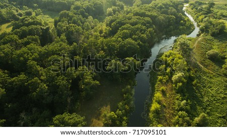 Beautiful river through the forest