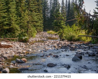 Beautiful River Water Running Past Rocks And Forest