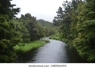 A beautiful river winds through a misty valley among tall trees and forested mountains - Powered by Shutterstock