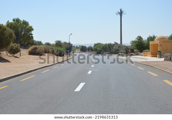 A beautiful\
road to cross cars with plants and trees on its sides in the\
tourist resort of El Gouna in the Red\
Sea
