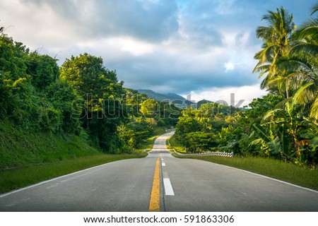 Beautiful road cutting through lush tropical jungle