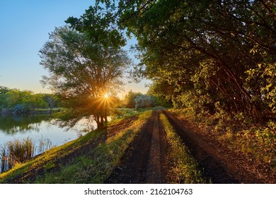 Beautiful road in green forest at sunset in summer. Colorful landscape with woods, bike road, walking people, sun rays, green trees, grass at sunny evening. Walkway in blooming park in spring. Nature