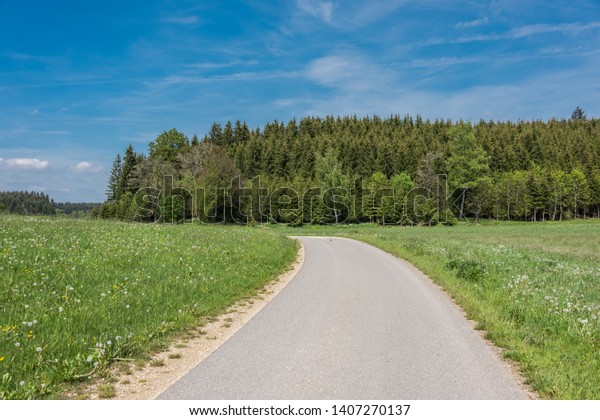 Beautiful\
road in the nature. Blue sky and green meadows beautiful\
surroundings to make a trip by car on the\
road