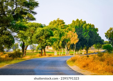 Beautiful road pathway hiking trail along side green trees  - Powered by Shutterstock