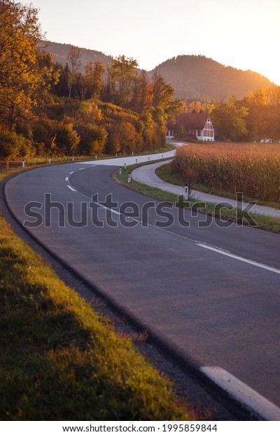 beautiful road in\
the sunlight.  travel by\
car\

