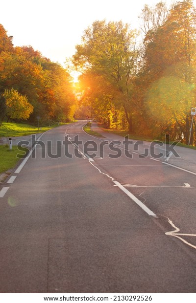 beautiful road in
the sunlight. Wachau
Valley
