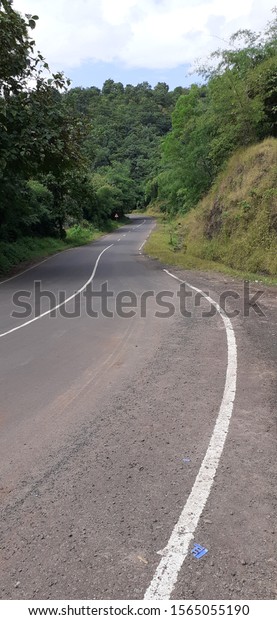 Beautiful road with trees in\
forest 