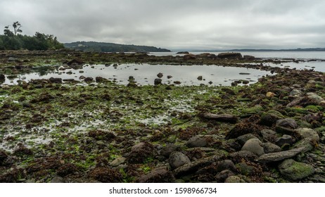 Beautiful Rocky Beach On Small Island In The Chiloe Archipelago In Chile