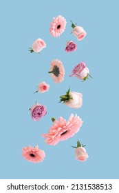 Beautiful romantic flying or levitate pastel flowers. Falling on bright blue background. Creative spring bloom or floral concept. Minimal natural Mother's, Valentines, Women's day or wedding day.