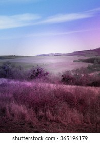 Beautiful Romantic Landscape In Purple Blue Color Atmosphere