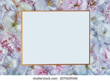 Beautiful, Romantic Photo Frame Background With White And Pink Flowers.Beautiful Floral Wallpaper. Valentines Day, Mothers Day, Womens Day, Spring Concept. Flat Lay, Top View, Copy Space
