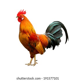 Rooster side view Images, Stock Photos & Vectors | Shutterstock