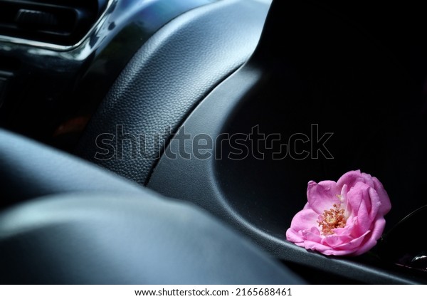 Beautiful of rose flower in the
car