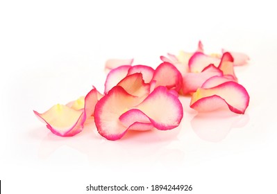 Rose Petals Images Stock Photos Vectors Shutterstock