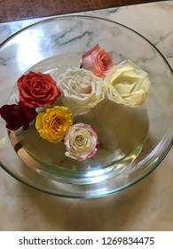 Beautiful Roses in Boutique in Cuba 