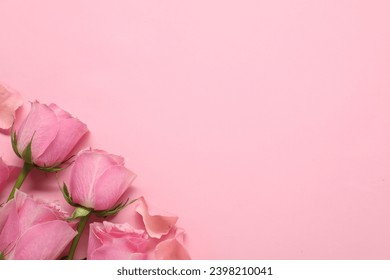 Beautiful roses on pink background, top view. Space for text