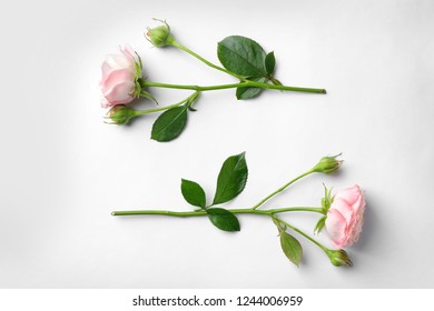 6,917 2 roses stem Images, Stock Photos & Vectors | Shutterstock