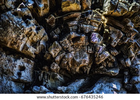 Similar – Image, Stock Photo old| rotten tree stump