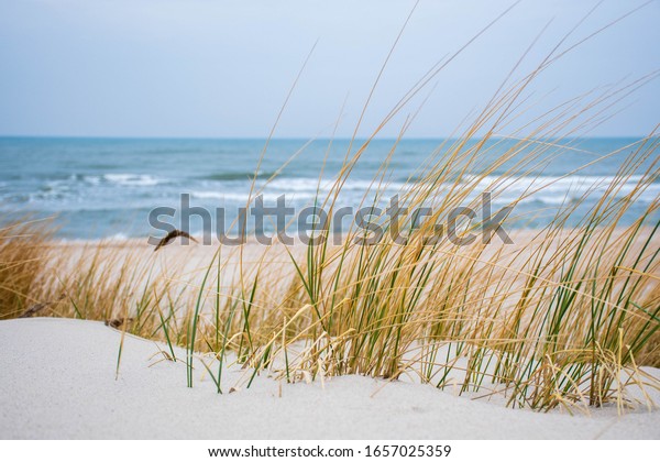 Image sur toile plage Point d'accès à la mer Baltique Avec marram herbe sur le côté mur