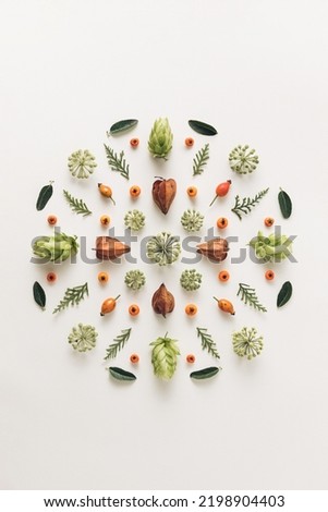 Beautiful round floral mandala made of seasonal forest fruits and leaves. Creative autumnal decorative background.