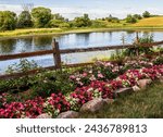 Beautiful row of begonias and flowers lining a split rail fence on which on the other side is a beautiful pond in the countyside at Panola Valley Gardens; a wedding venue in Lindstrom, Minnesota USA.
