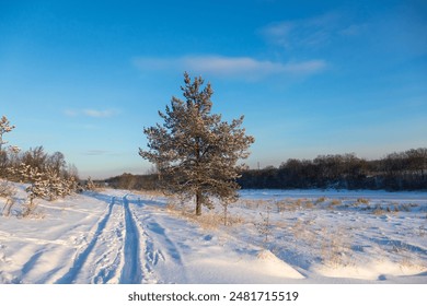 Beautiful rural winter landscape. View of the snowy path and trees. Rut in the snow on a country road. Frozen river valley. Snow on the ground. Cold snowy weather in the countryside. - Powered by Shutterstock