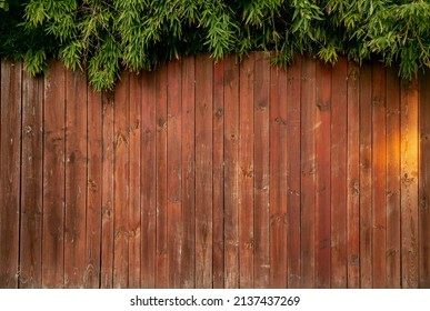 Beautiful Rustic Red Wood Fence And Bamboo Plant Over The Top Of It