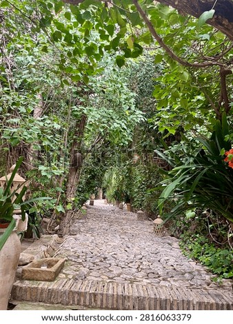 Beautiful rustic stone pathway leading through a lush green garden tunnel with exotic plants and decorative lanterns
